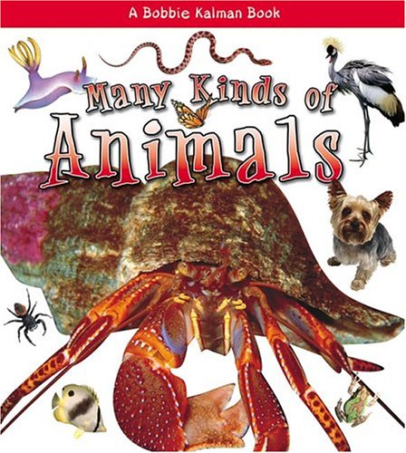 Many Kinds of Animals (What Kind of Animal Is It?) Non-fiction