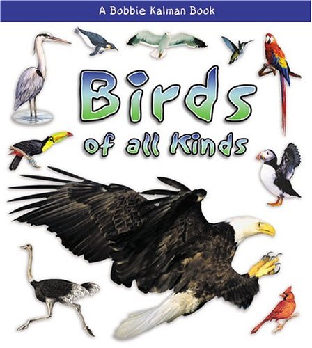Birds of All Kinds (What Kind of Animal Is It?) Non-fiction