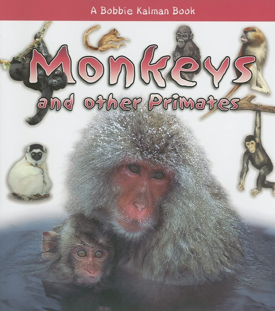 Monkeys and Other Primates (What Kind of Animal Is It?) Non-fiction