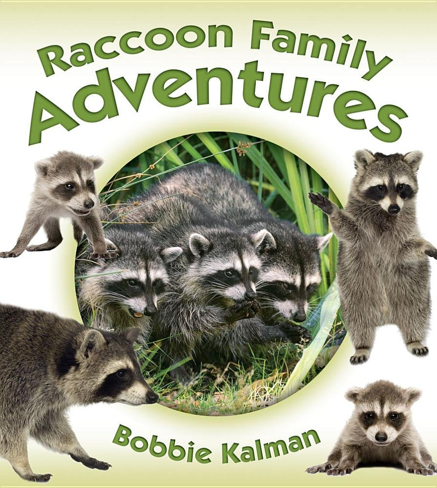 Raccoon Family Adventures (Animal Family Adventures) Non-fiction