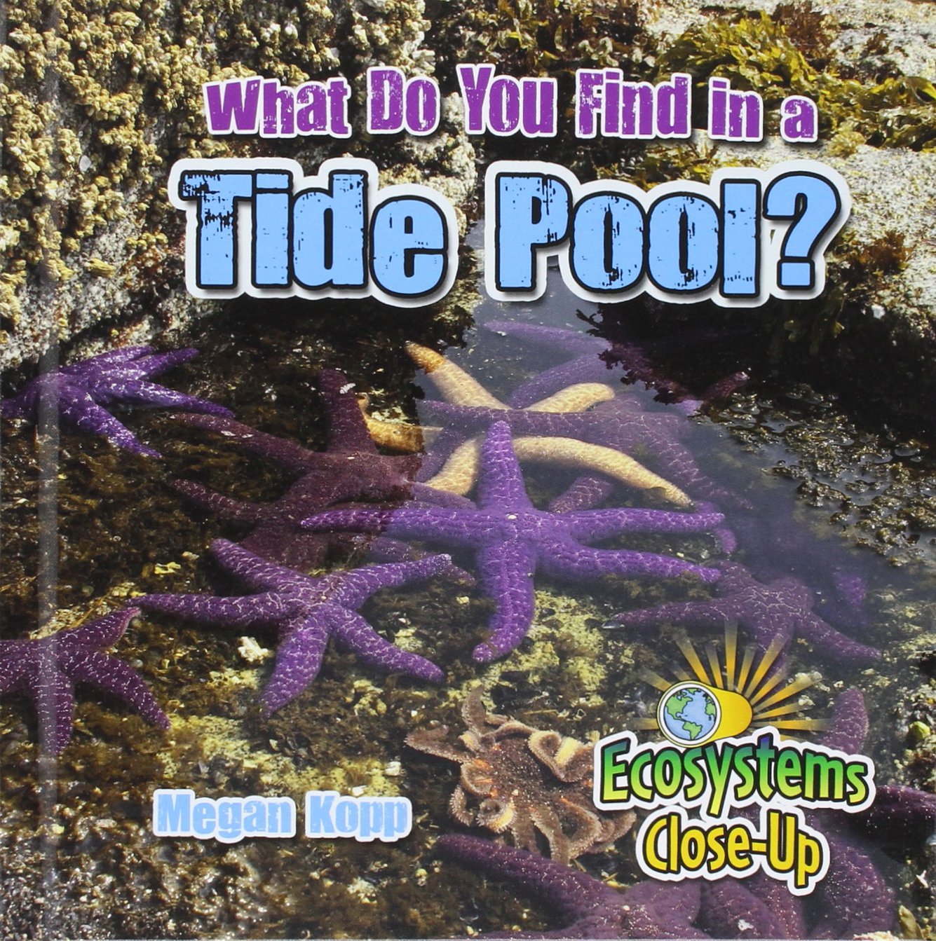 What Do You Find in a Tide Pool? (Ecosystems Close-Up) Non-fiction
