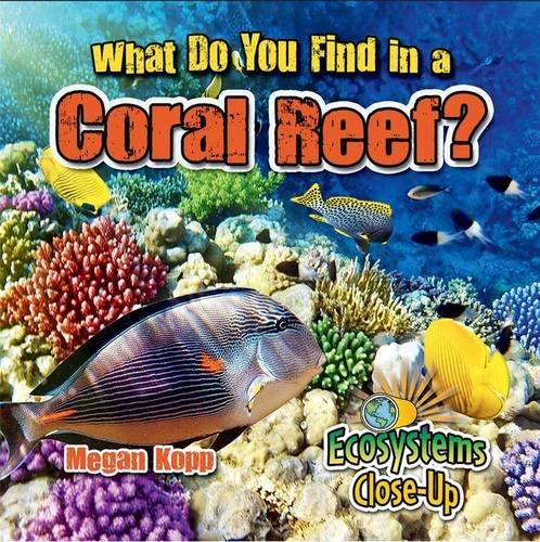 What Do You Find in a Coral Reef? (Ecosystems Close-up) Non-fiction