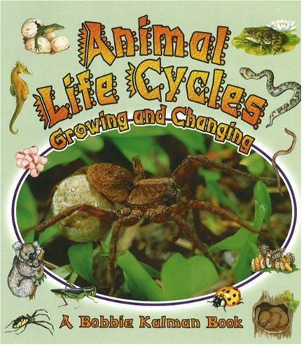 Animal Life Cycles: Growing and Changing (Nature's Changes) Non-fiction
