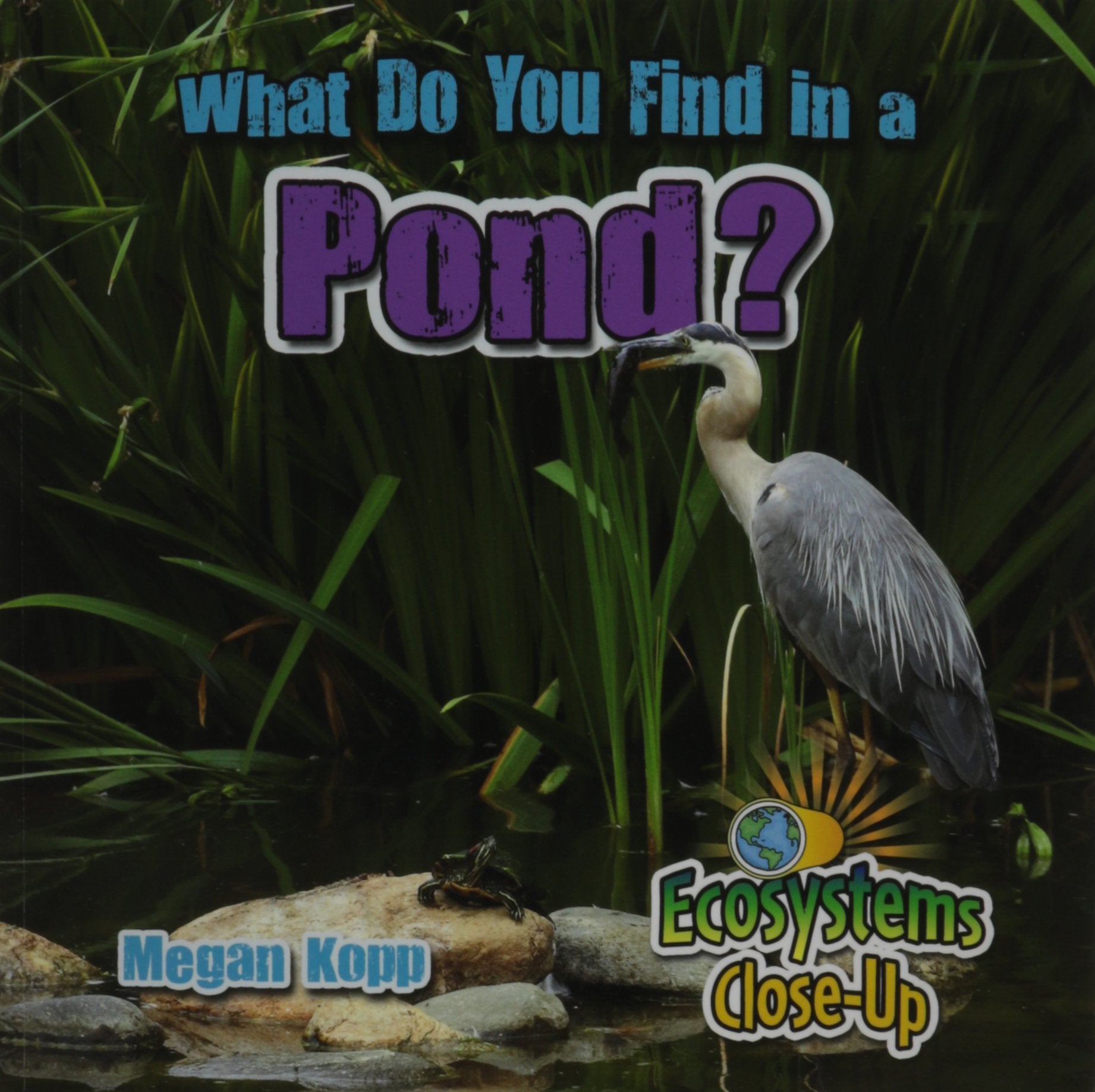 What Do You Find in a Pond? (Ecosystems Close-up) Non-fiction