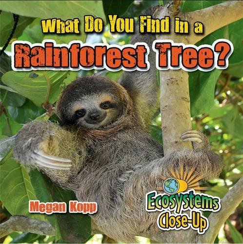 What Do You Find in a Rainforest Tree? (Ecosystems Close-up) Non-fiction