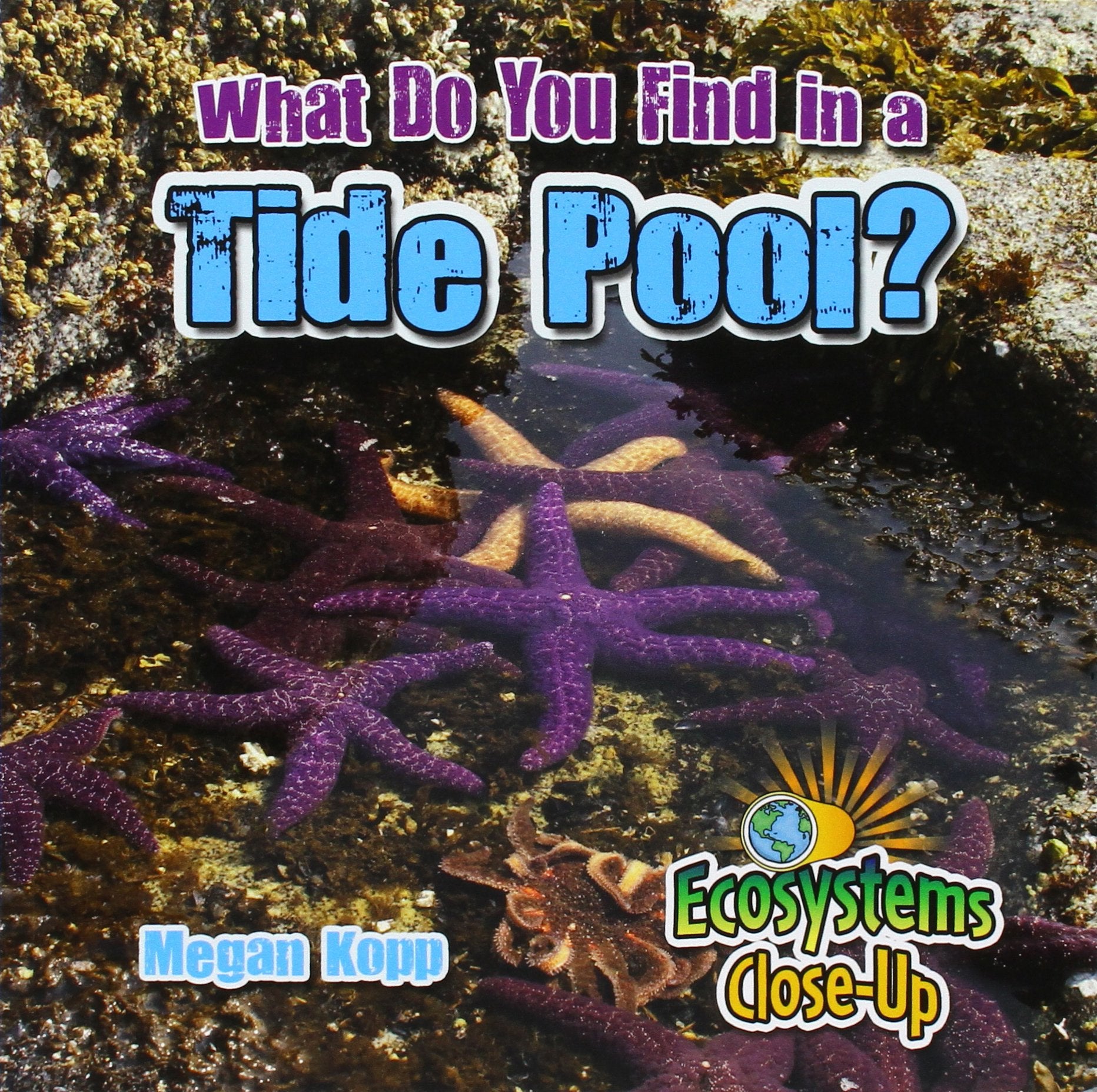 What Do You Find in a Tide Pool? (Ecosystems Close-Up) Non-fiction