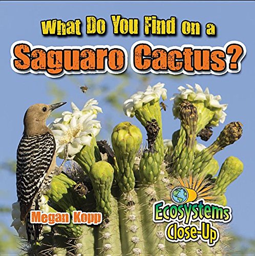 What Do You Find on a Saguaro Cactus? (Ecosystems Close-up) Non-fiction