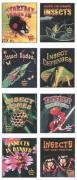 World of Insects Series Non-fiction