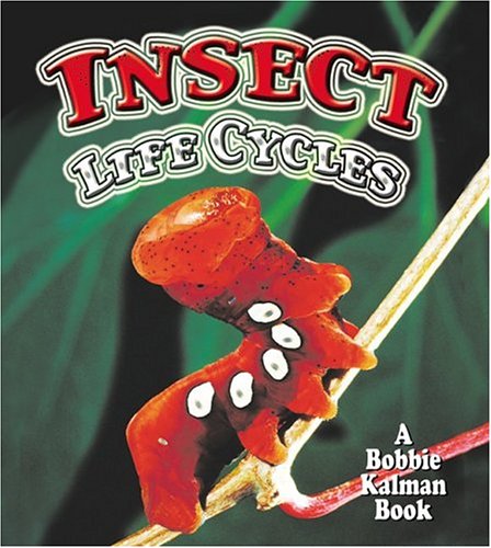Insect Life Cycles (The World of Insects) Non-fiction