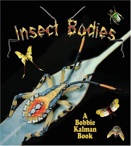 Insect Bodies Non-fiction books for kids