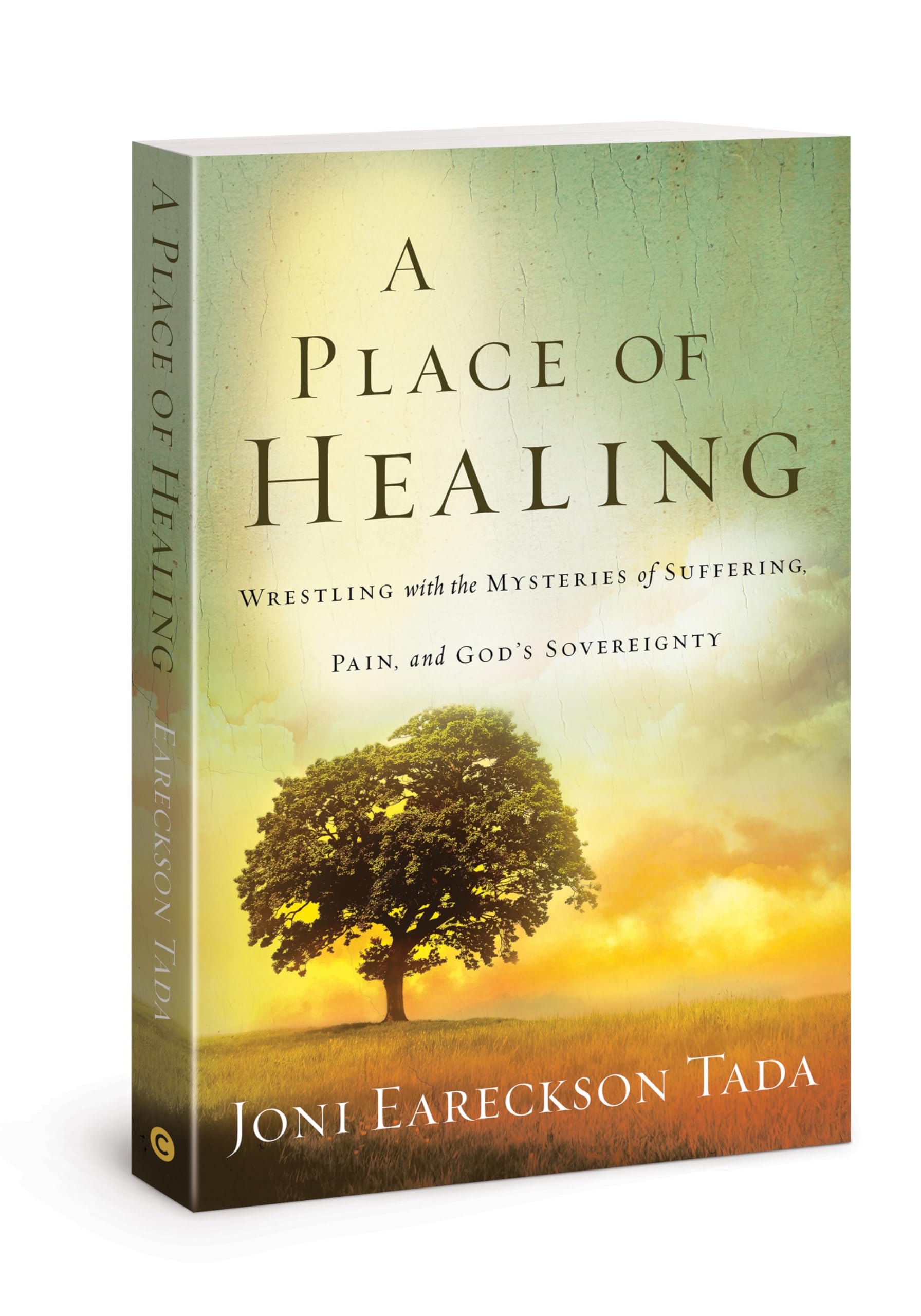 A Place of Healing Social Sciences