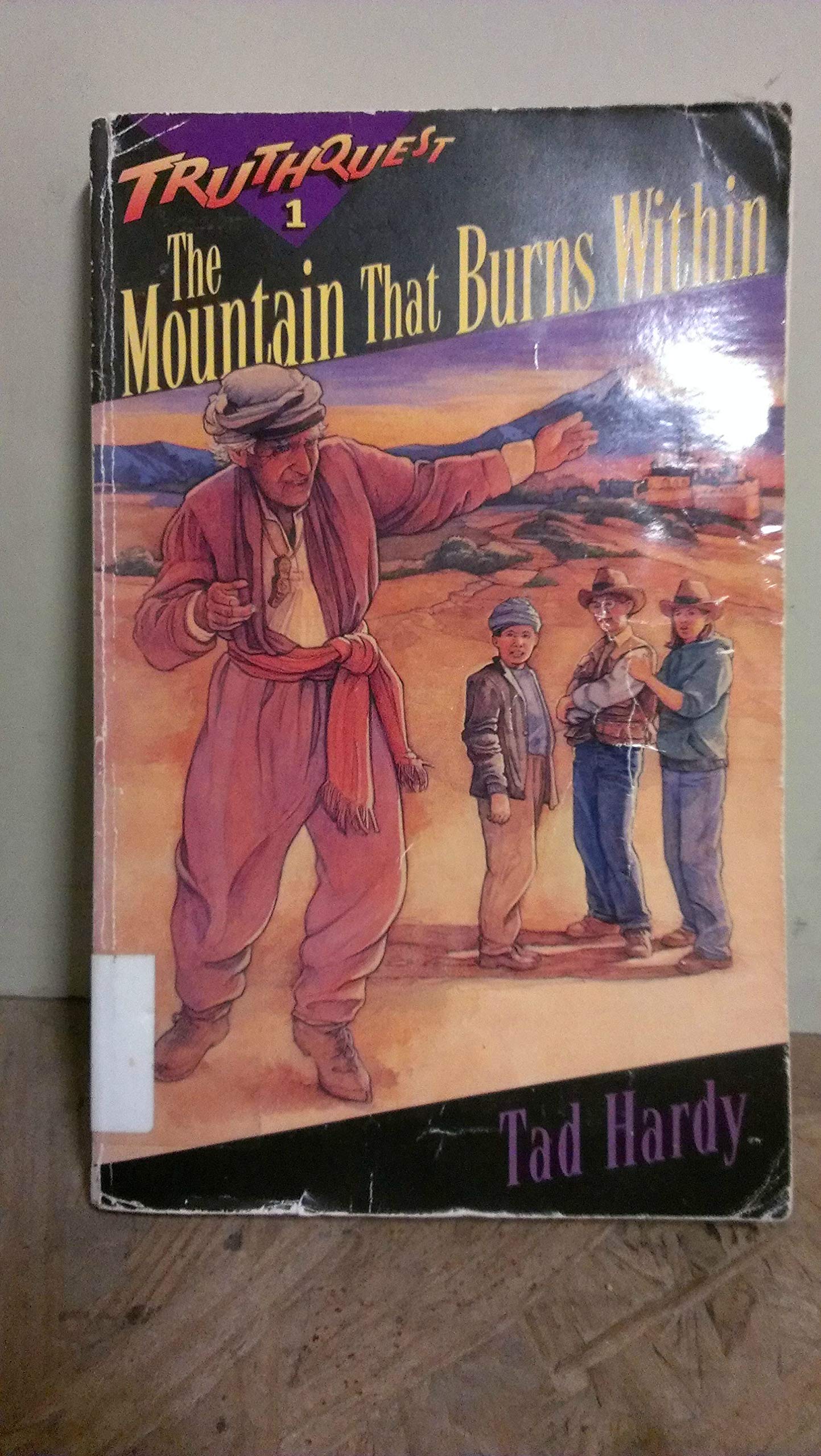 Mountain That Burns Within Truth (Truthquest, Band 1) Contemporary literature