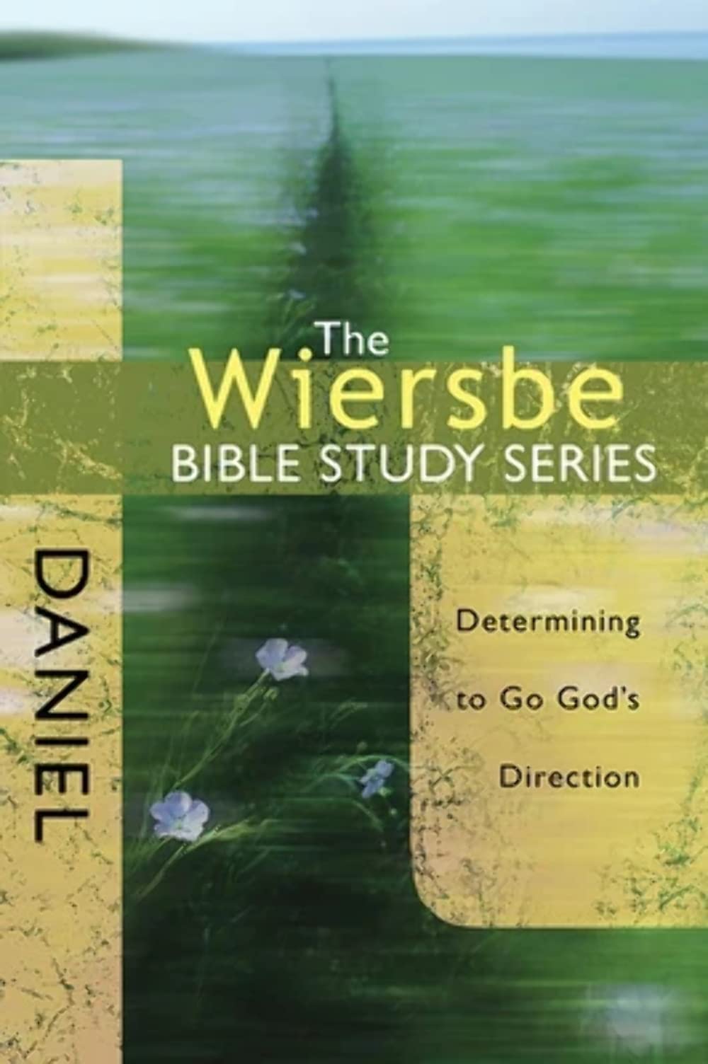 Daniel: Determining to Go God's Direction (The Wiersbe Bible Study Series) Social Sciences