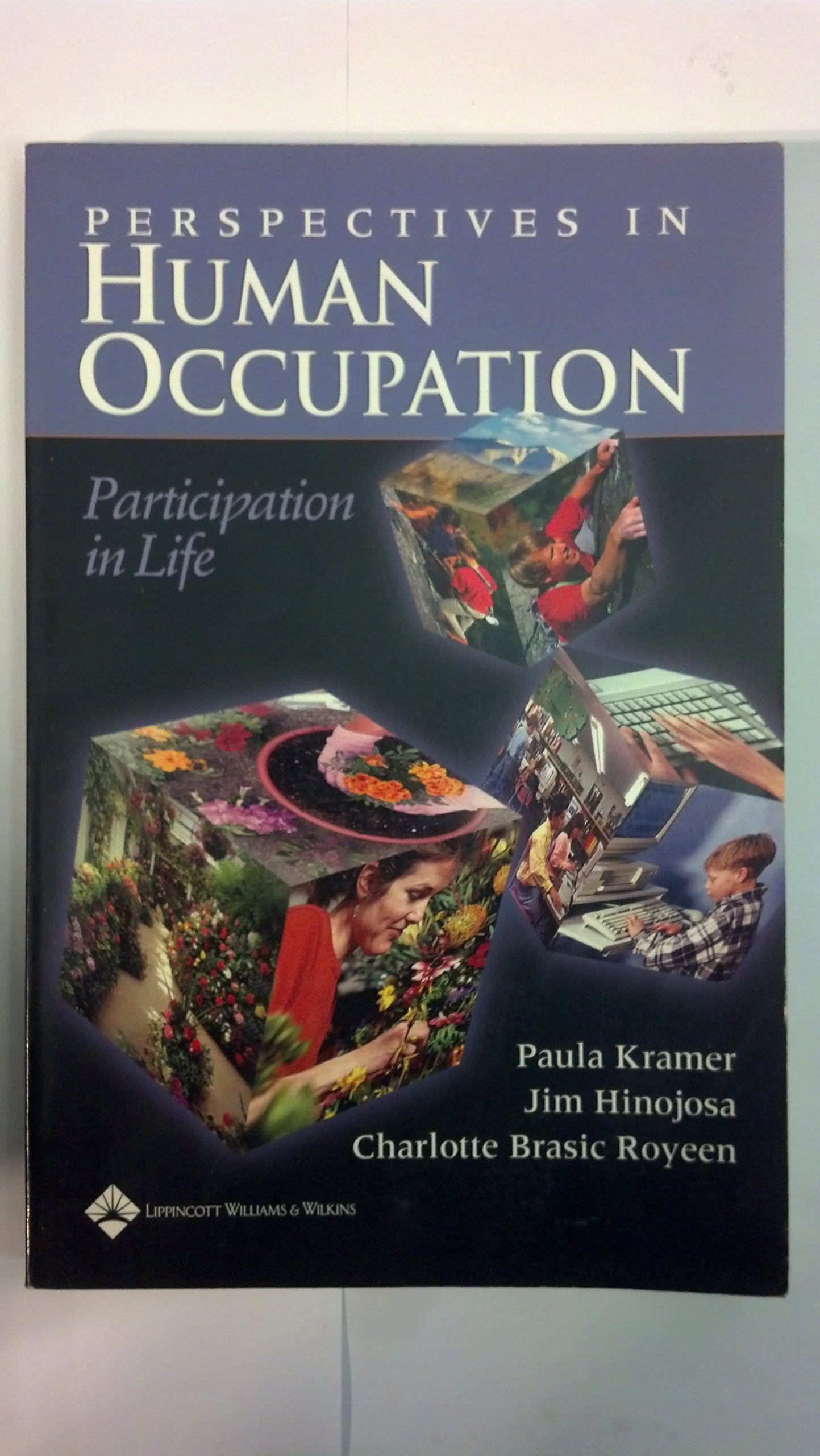 Perspectives in Human Occupation: Participation in Life Medicine