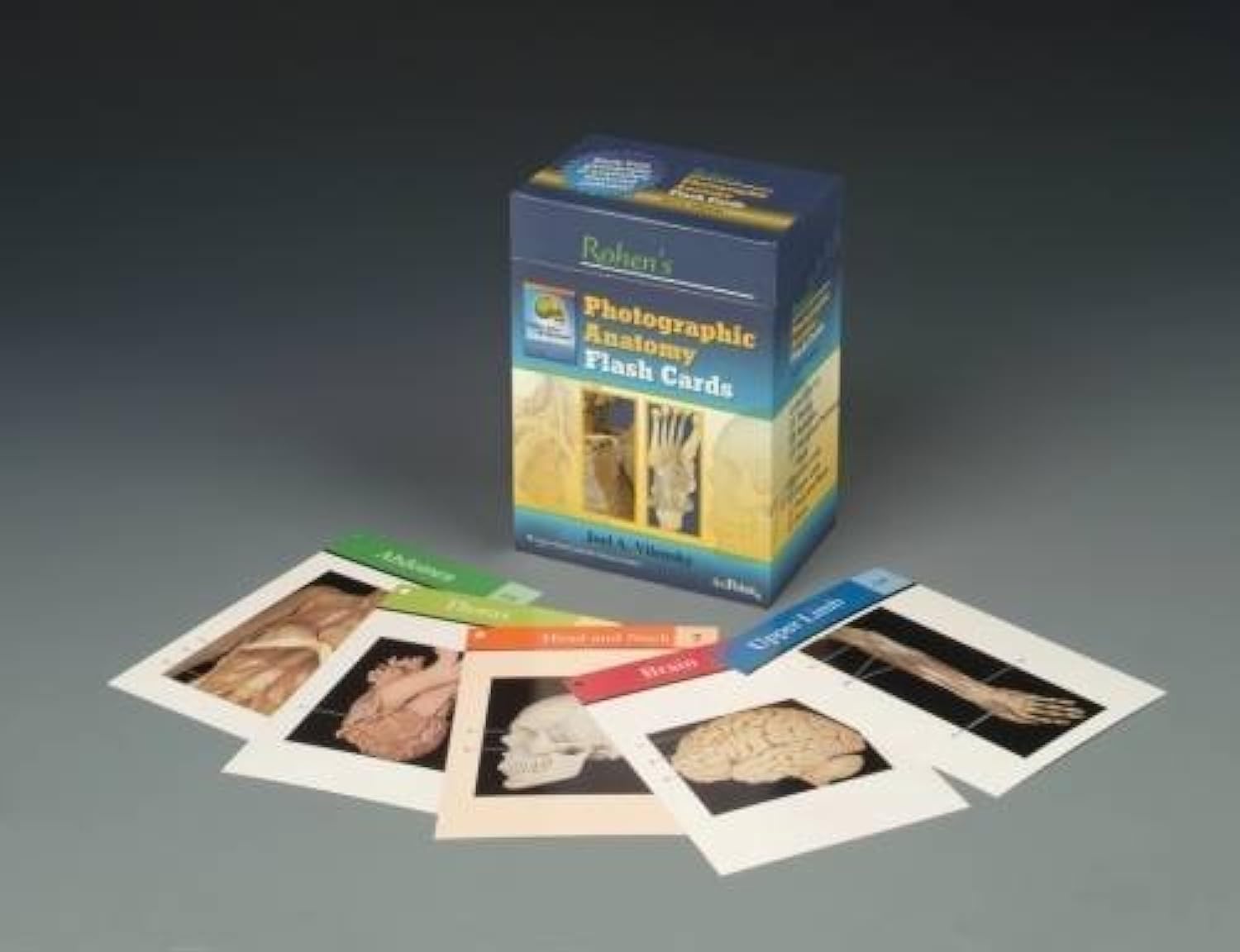Rohen's Photographic Anatomy Flash Cards book