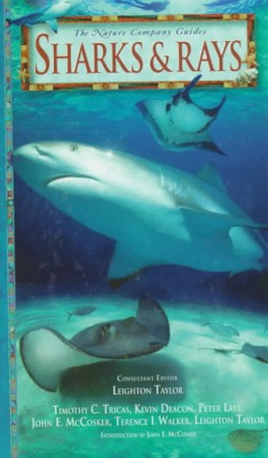 Sharks & Rays (Nature Company Guides) Business & Technology