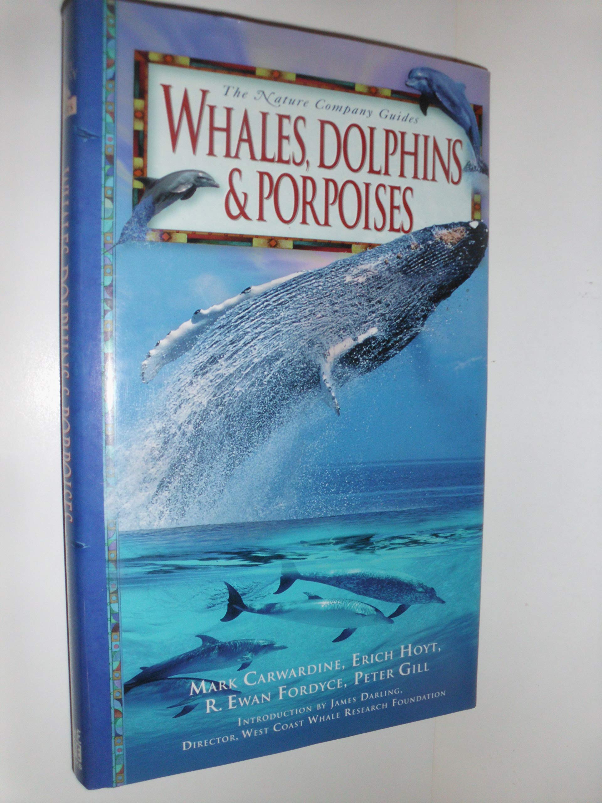 Whales, Dolphins & Porpoises (Nature Company Guides) Mathematics