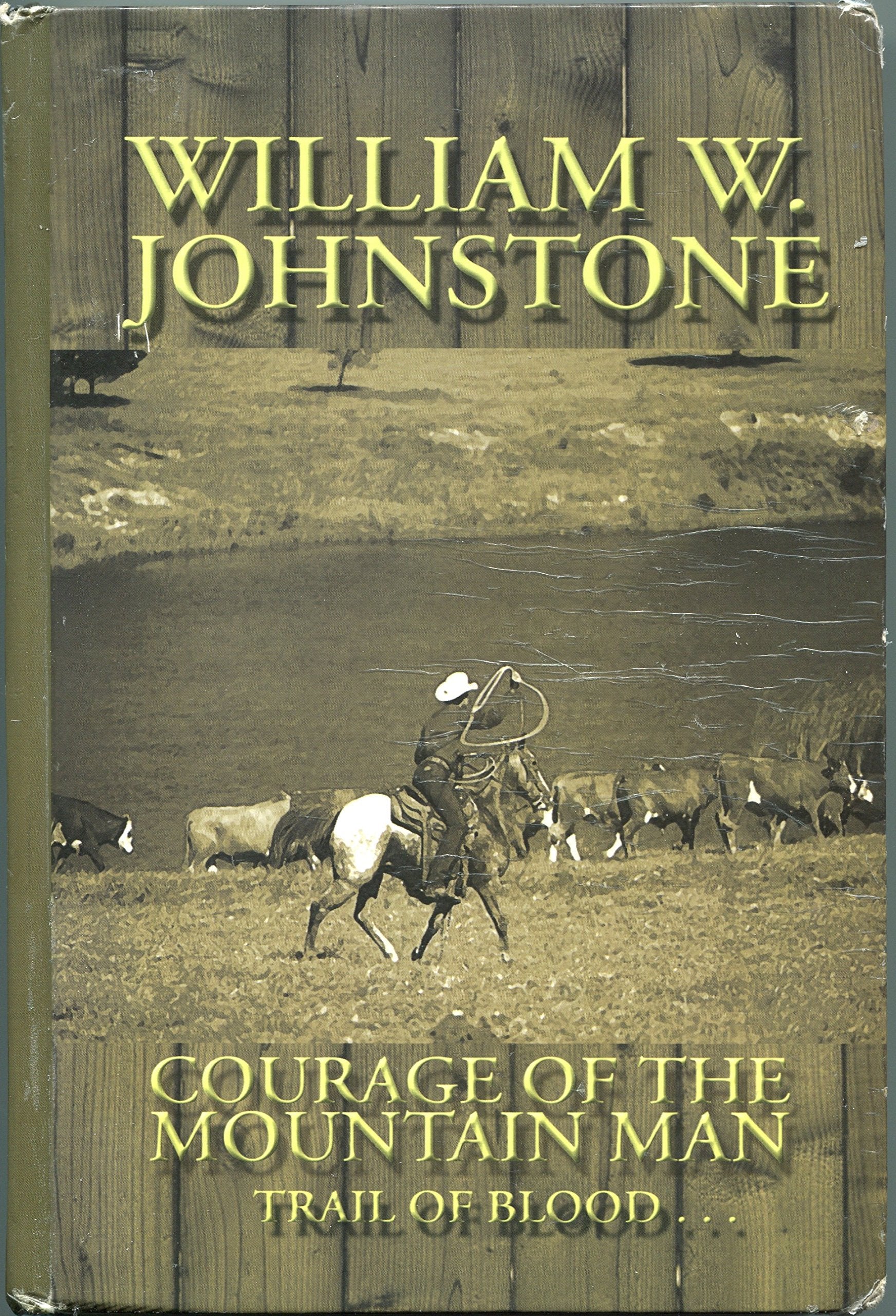Courage of the Mountain Man (The Last Mountain Man, Band 10) Poetry