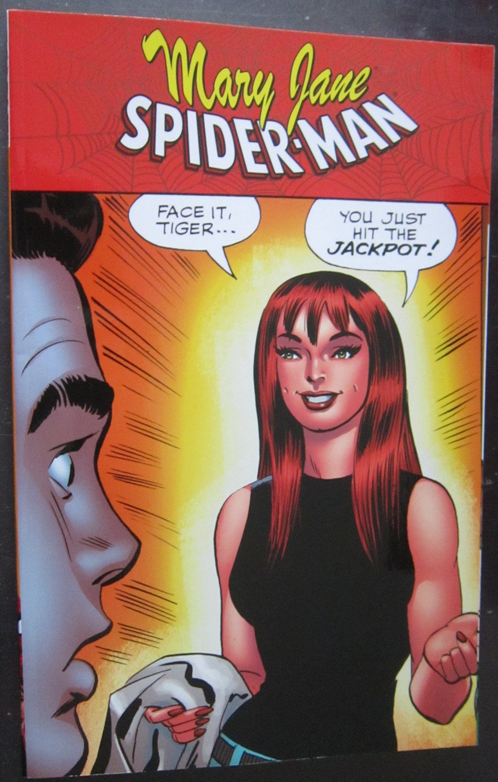 Spider-Man/Mary Jane: ...You Just Hit The Jackpot book