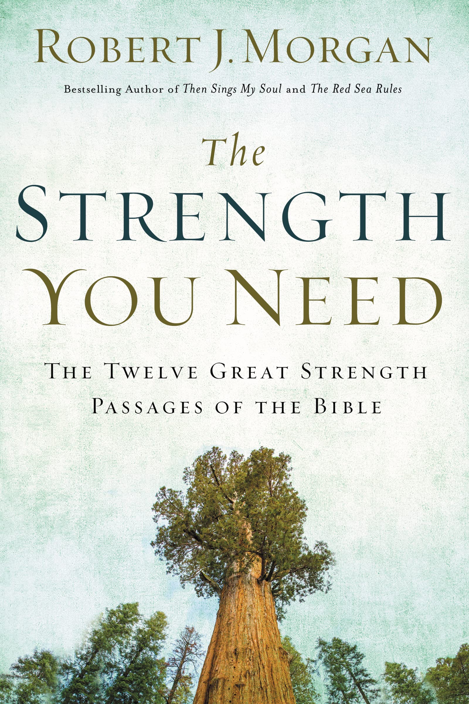 The Strength You Need: The Twelve Great Strength Passages of the Bible Religion & Esotericism