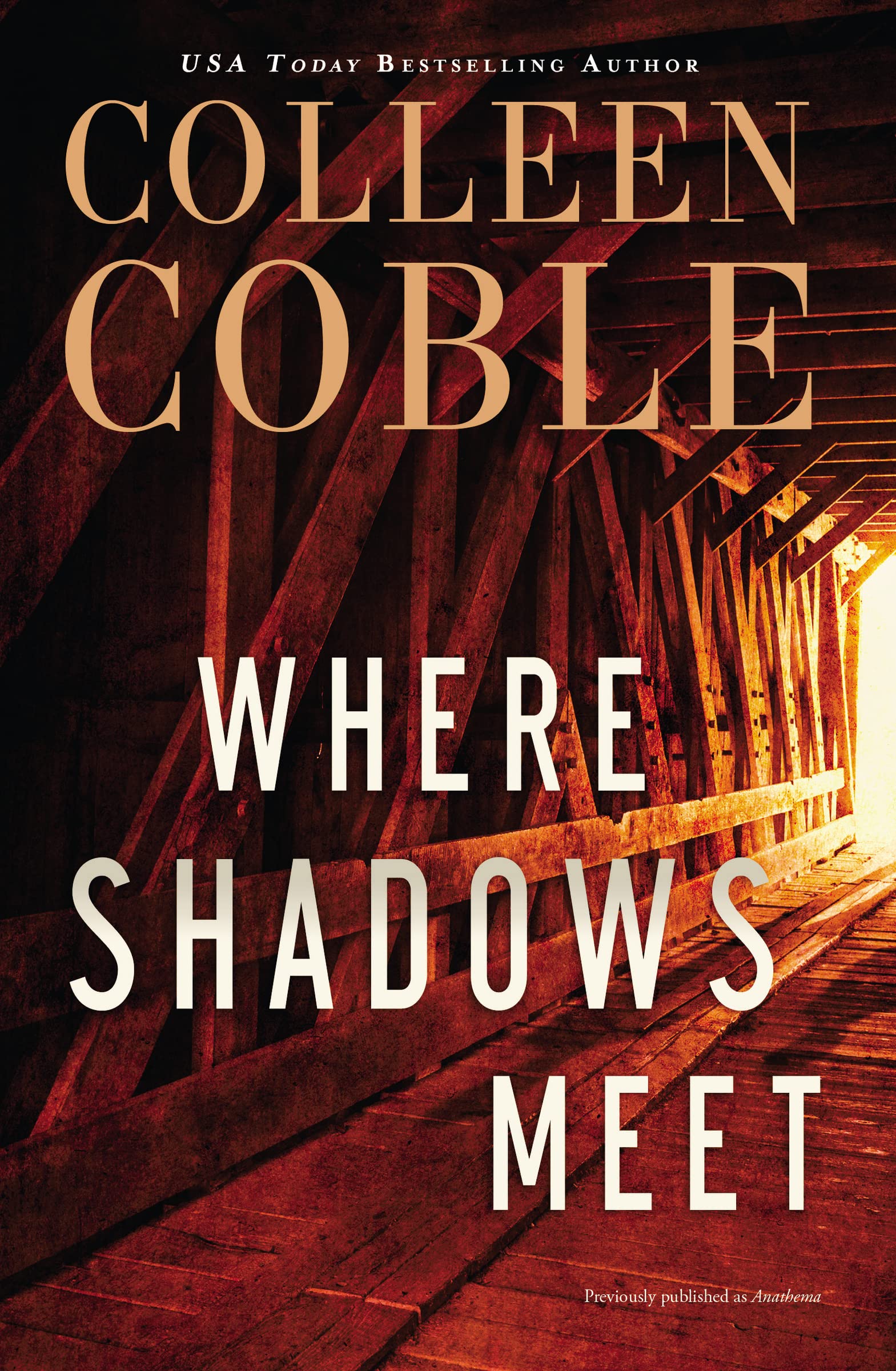 Where Shadows Meet Historical Fiction