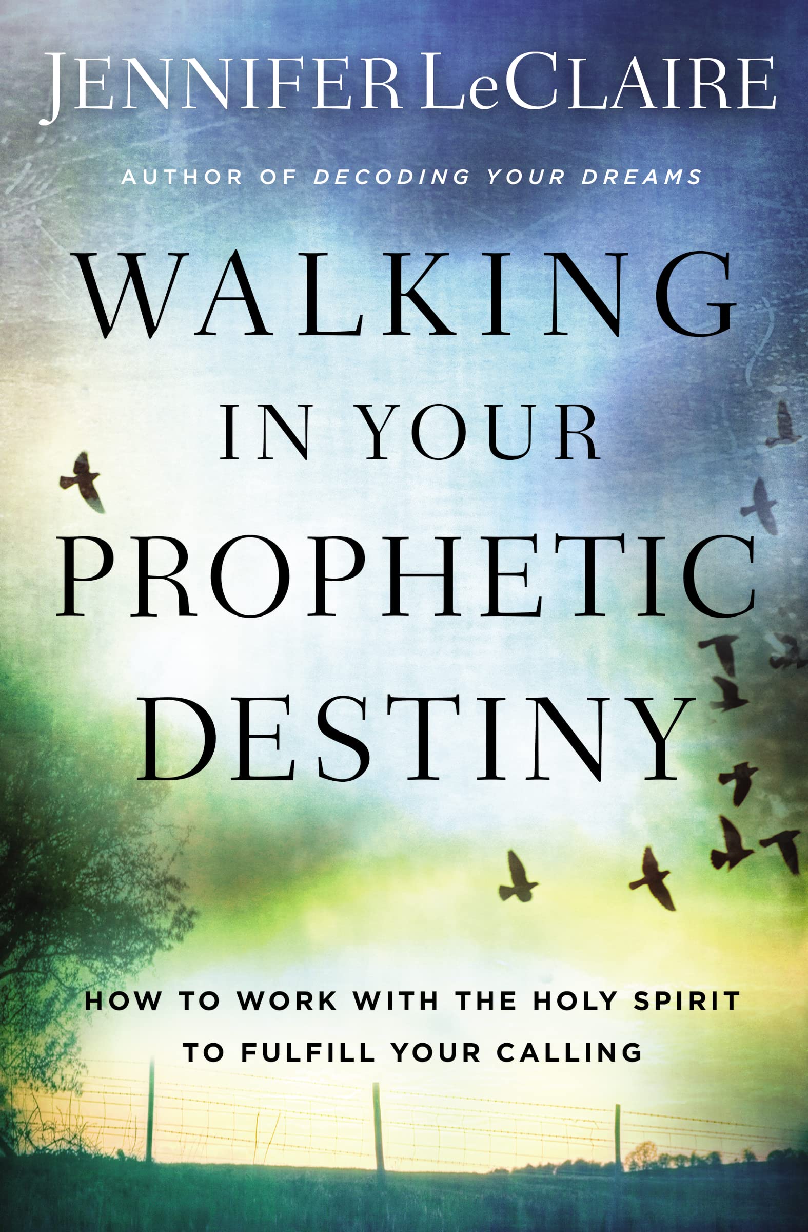 Walking in Your Prophetic Destiny: How to Work with The Holy Spirit to Fulfill Your Calling Religion & Esotericism