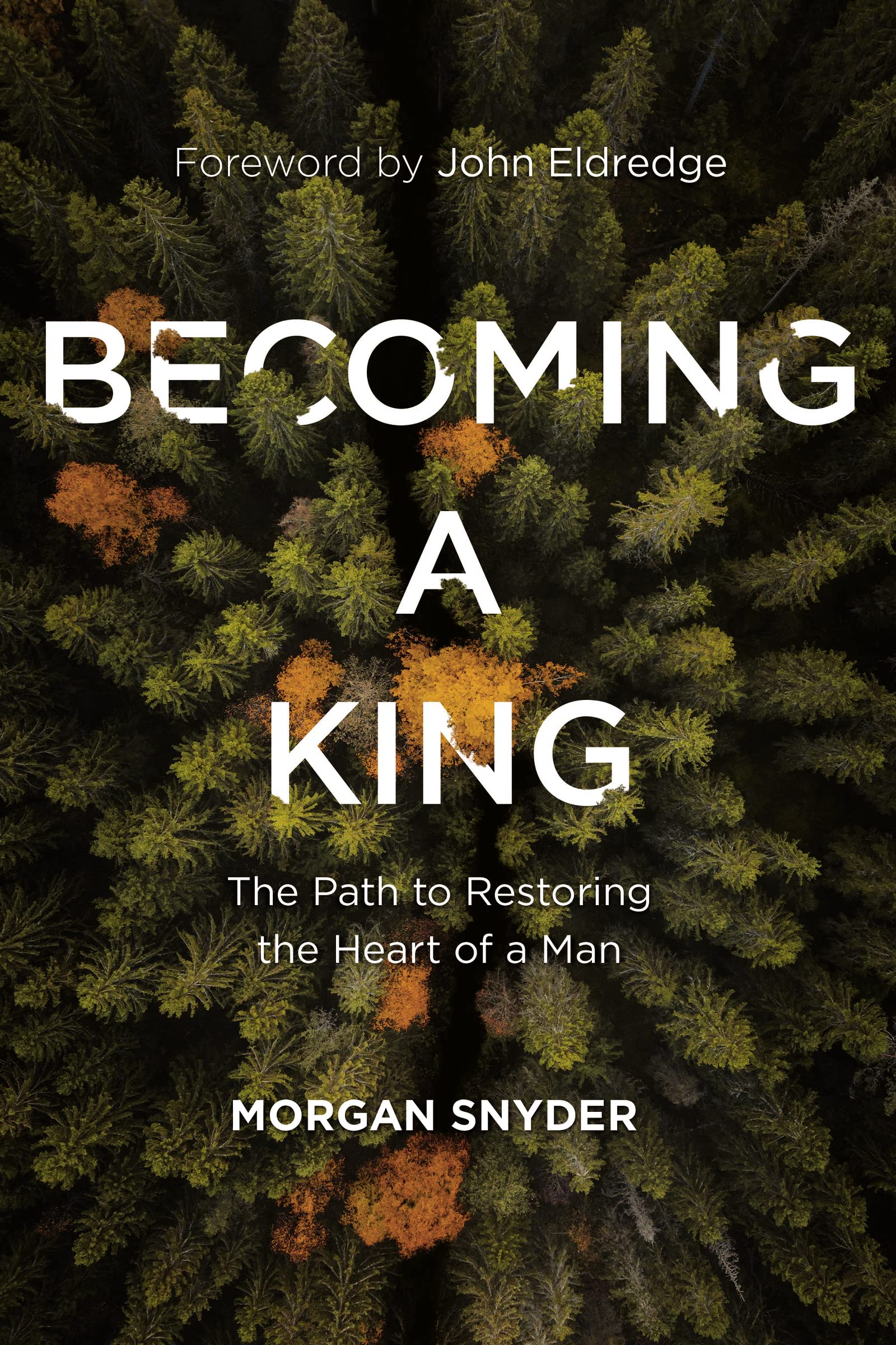 Becoming a King Business, Finance & Career