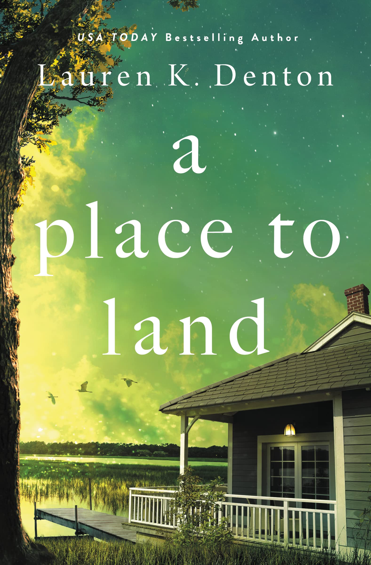 A Place to Land Contemporary literature