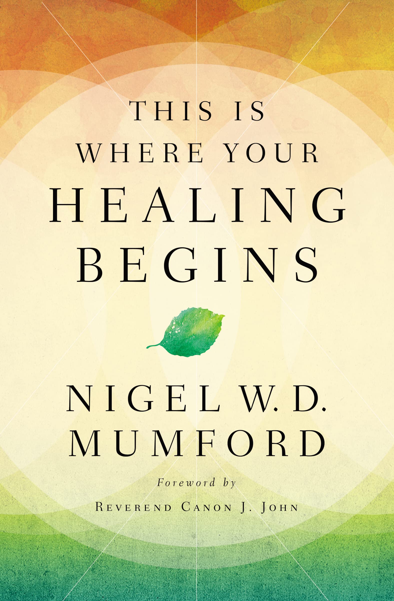 This Is Where Your Healing Begins: A Guide to Equipping Your Healing Ministry Study Guides