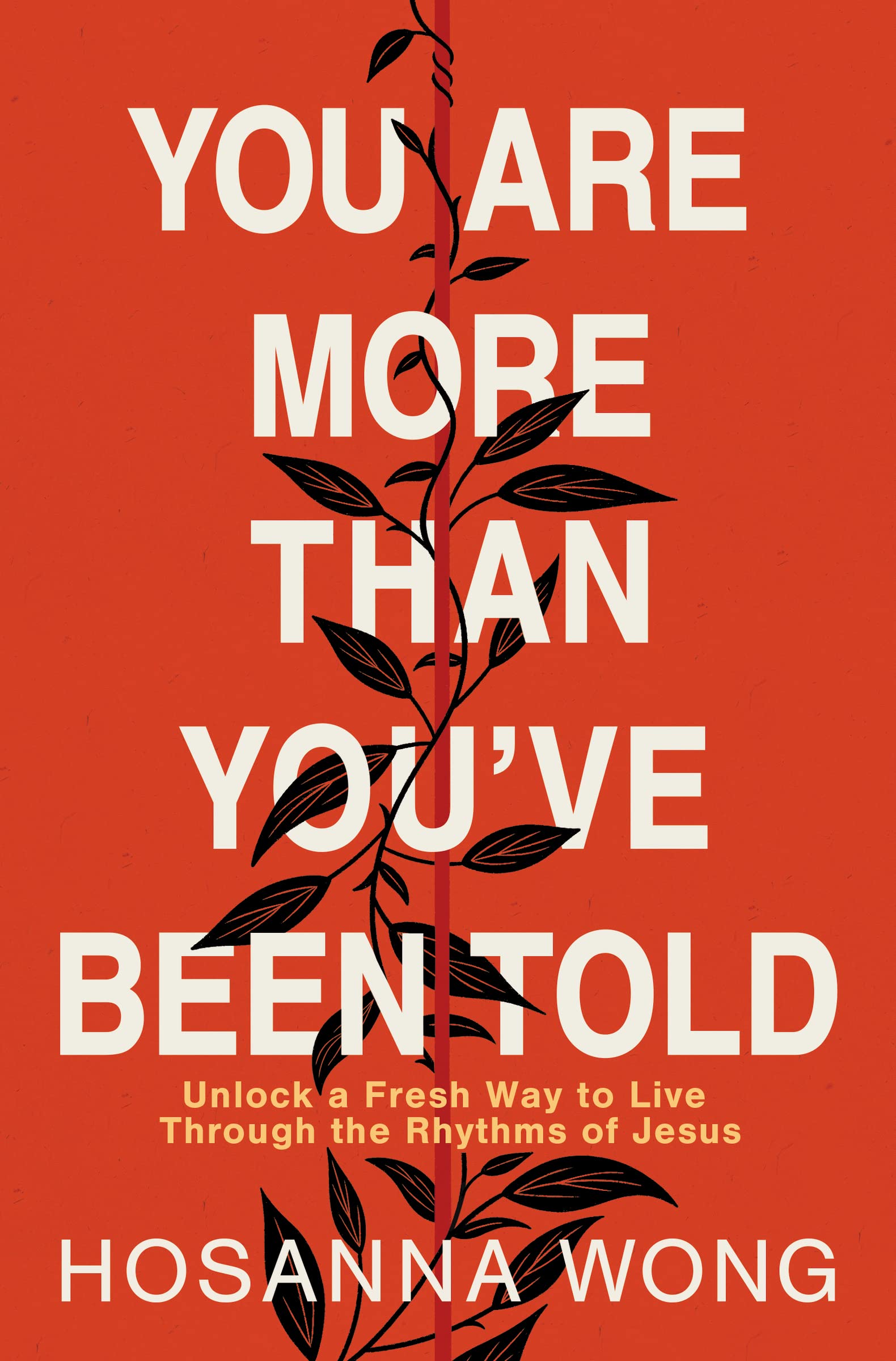 You Are More Than You've Been Told Business, Finance & Career