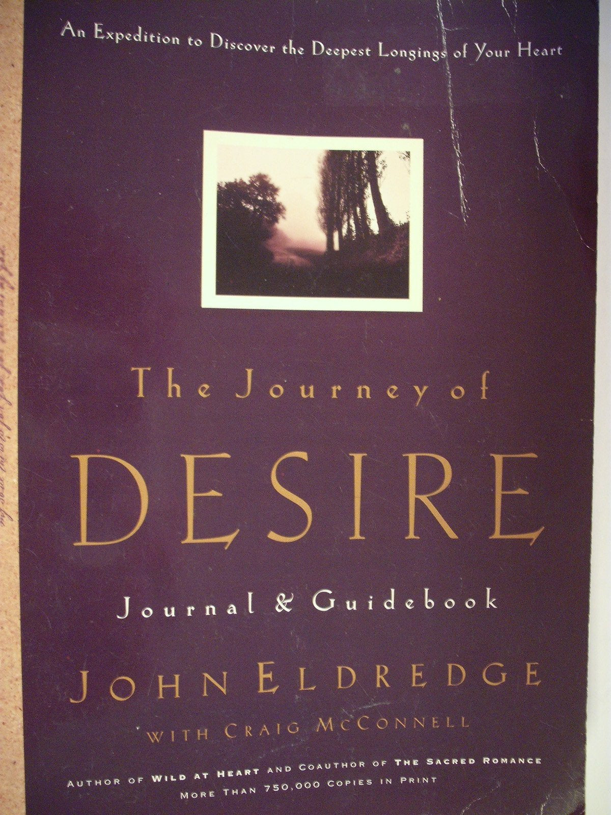 The Journey of Desire Journal and Guidebook: An Expedition to Discover the Deepest Longings of Your Heart Social Sciences