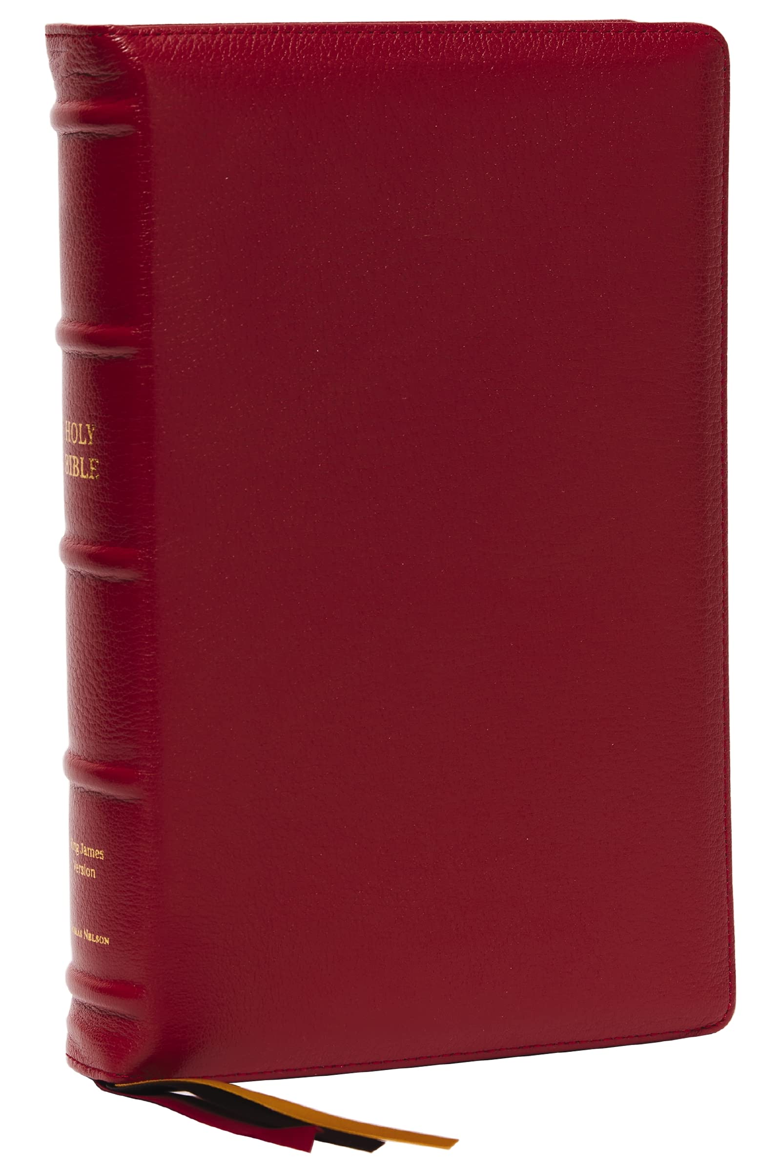 KJV Holy Bible: Large Print Single-Column with 43,000 End-of-Verse Cross References, Red Goatskin Leather, Premier Collection, Personal Size, Red ... James Version: Holy Bible, King James Version Health, Nutrition & Fitness