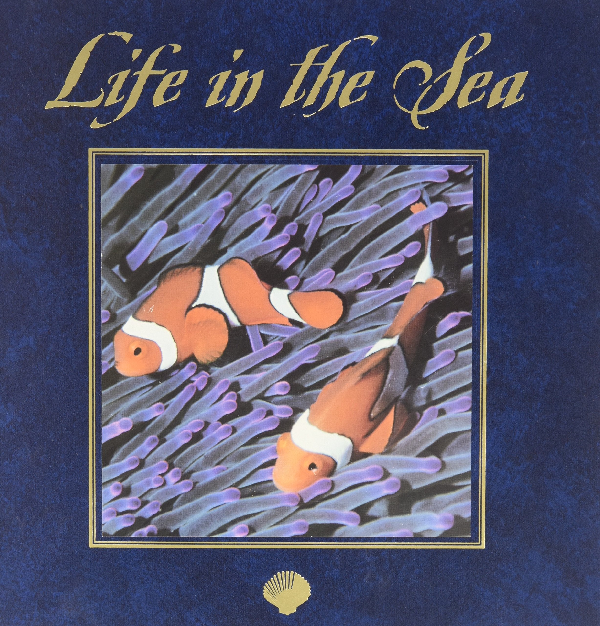 Life in the Sea Business & Technology