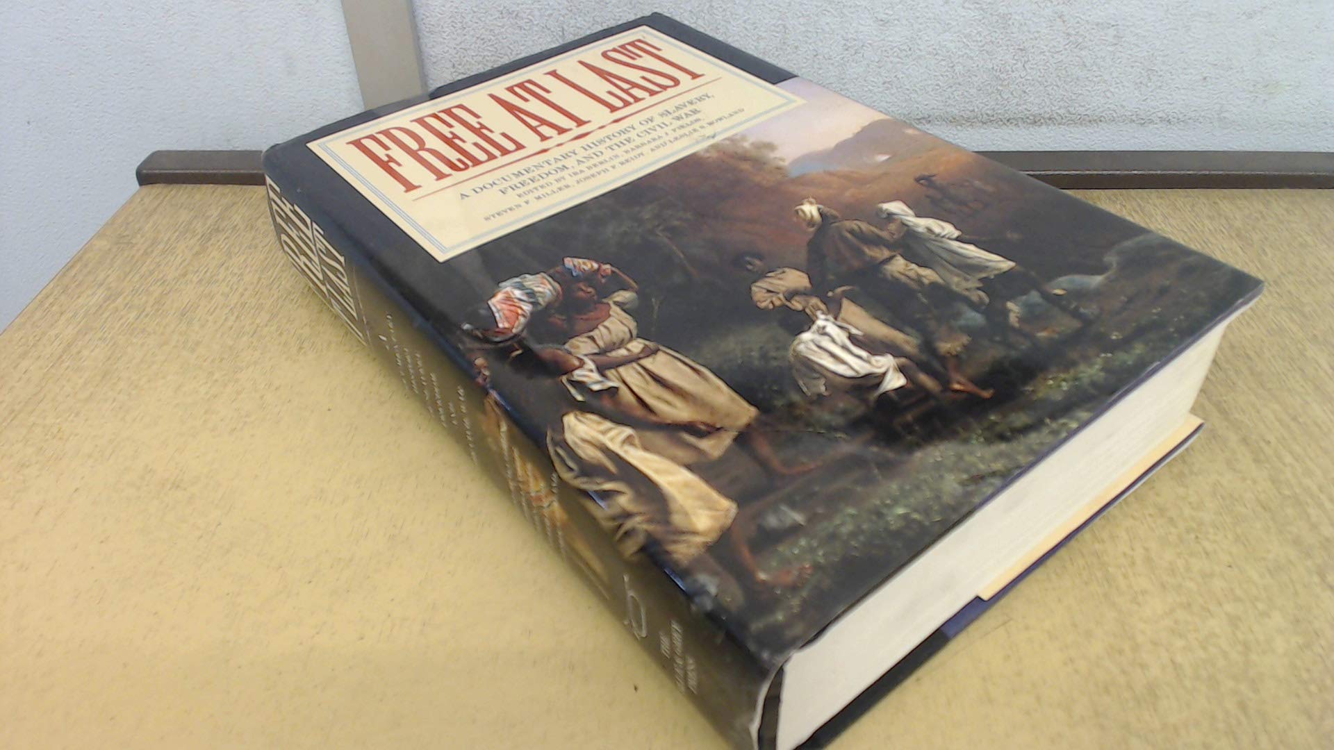 Free At Last book
