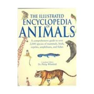 Illustrated Encyclopedia of Animals Mathematics
