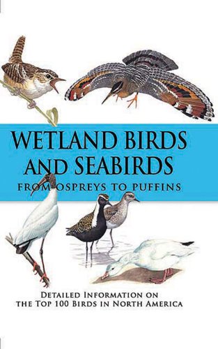 Wetland Birds and Seabirds Mathematics