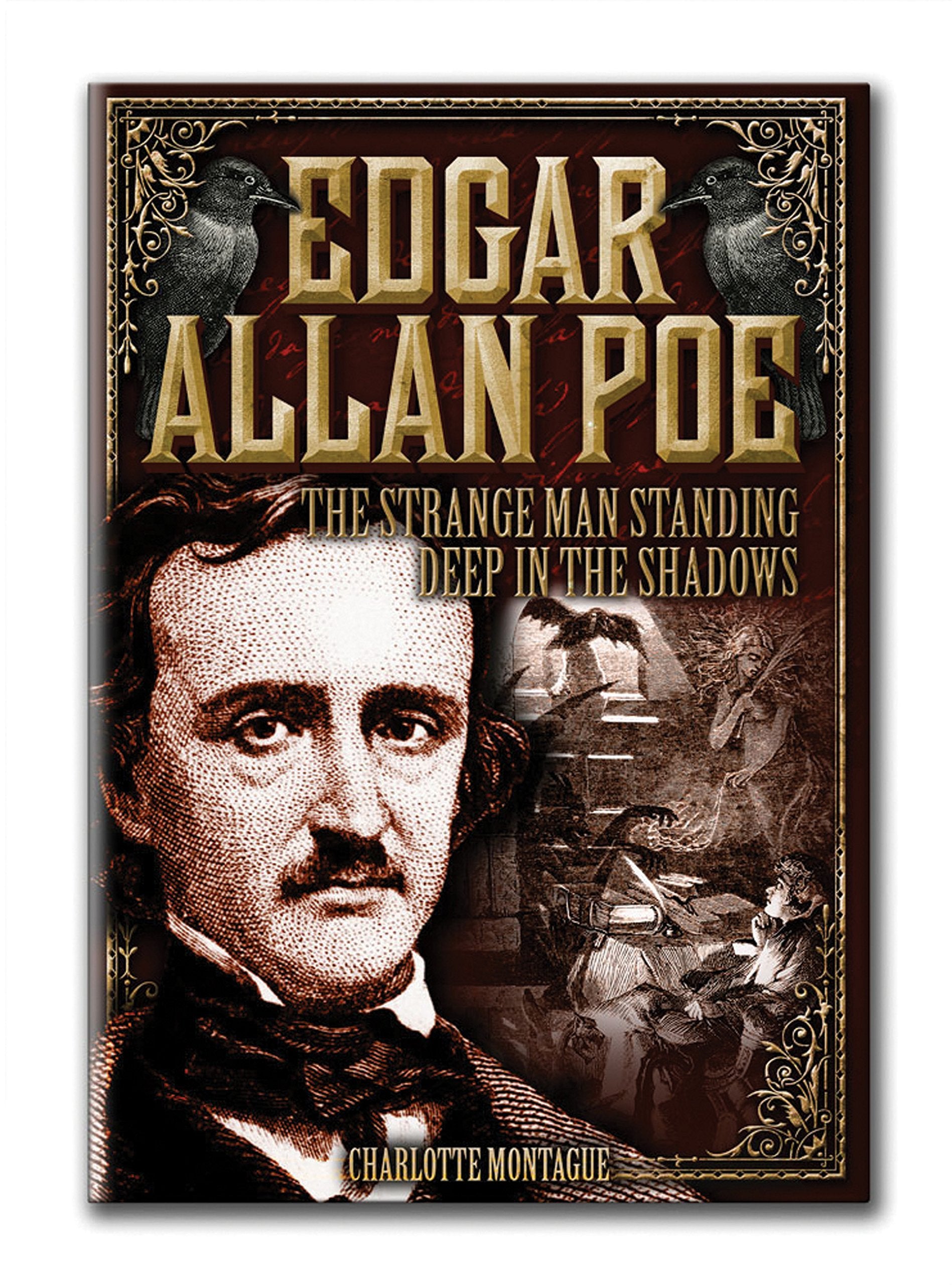 Edgar Allan Poe: The Strange Man Standing Deep in the Shadows book
