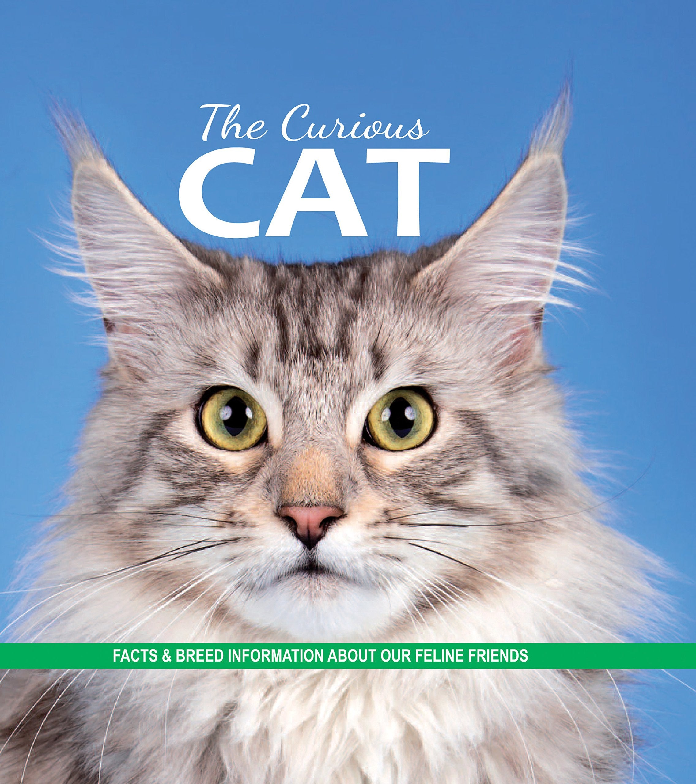 The Curious Cat: Facts and breed information on our feline friends Mathematics