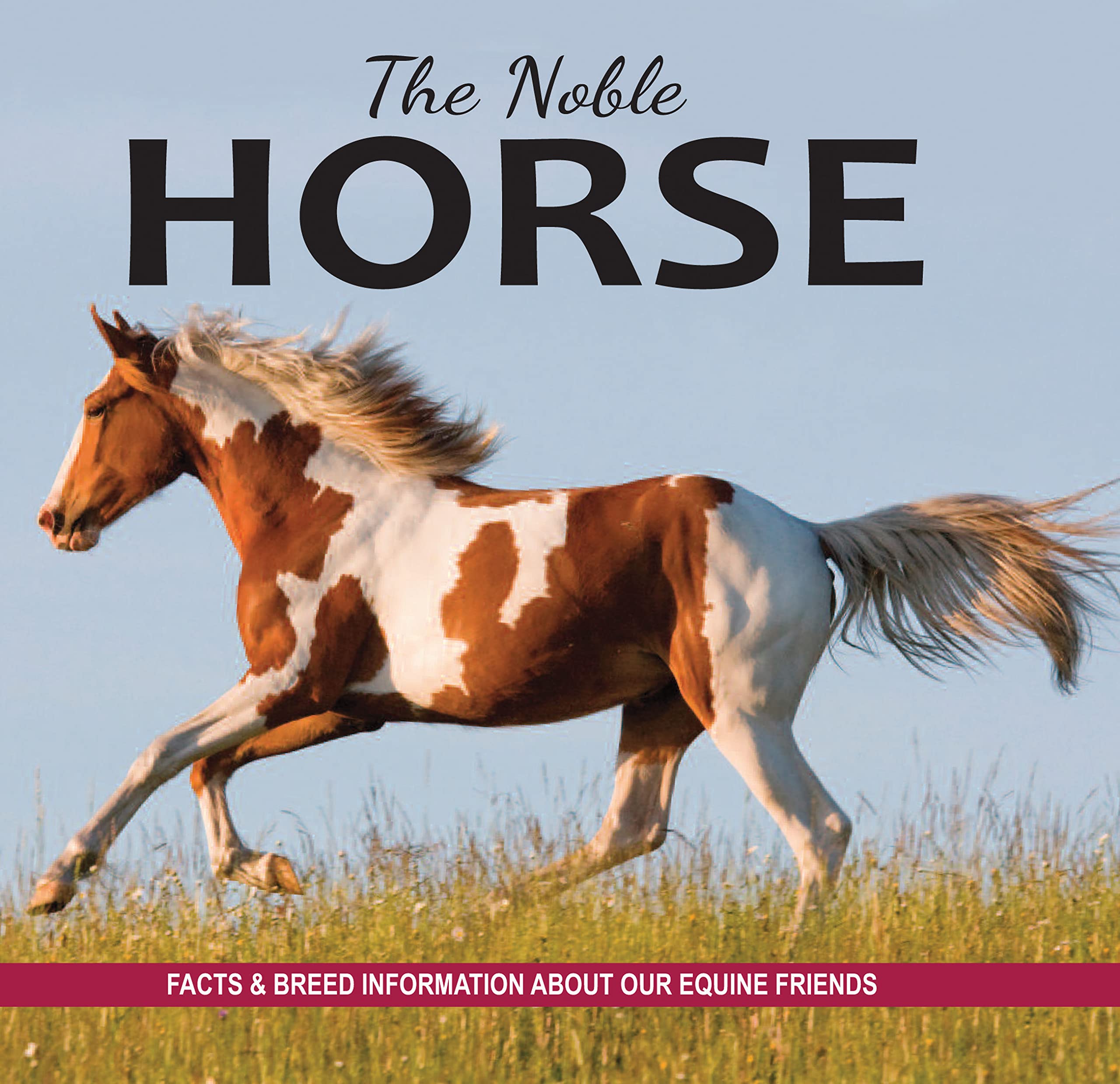 The Noble Horse: Facts and Breed Information on Our Equine Friends Mathematics