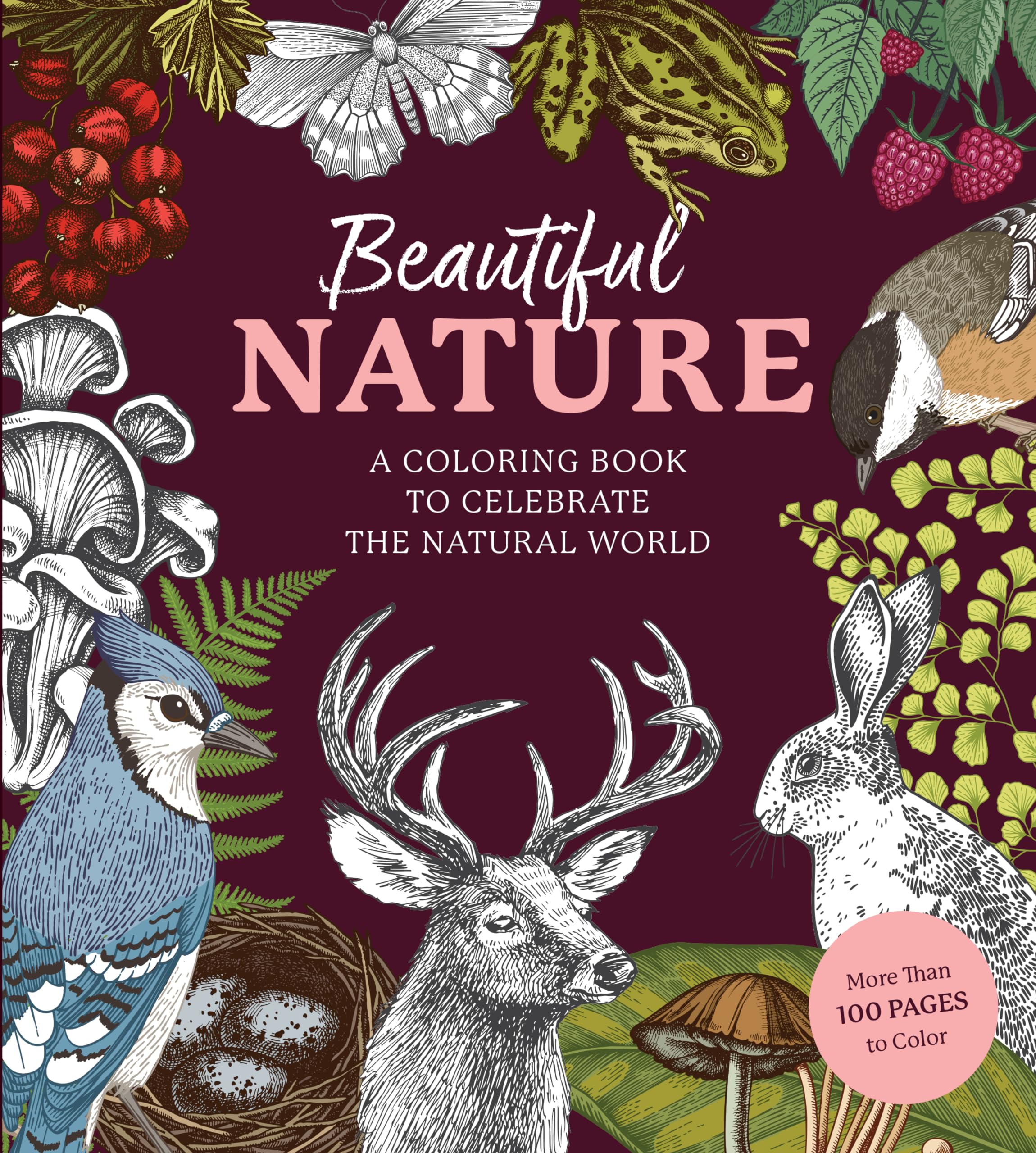 Beautiful Nature Coloring Book Film, Art & Culture