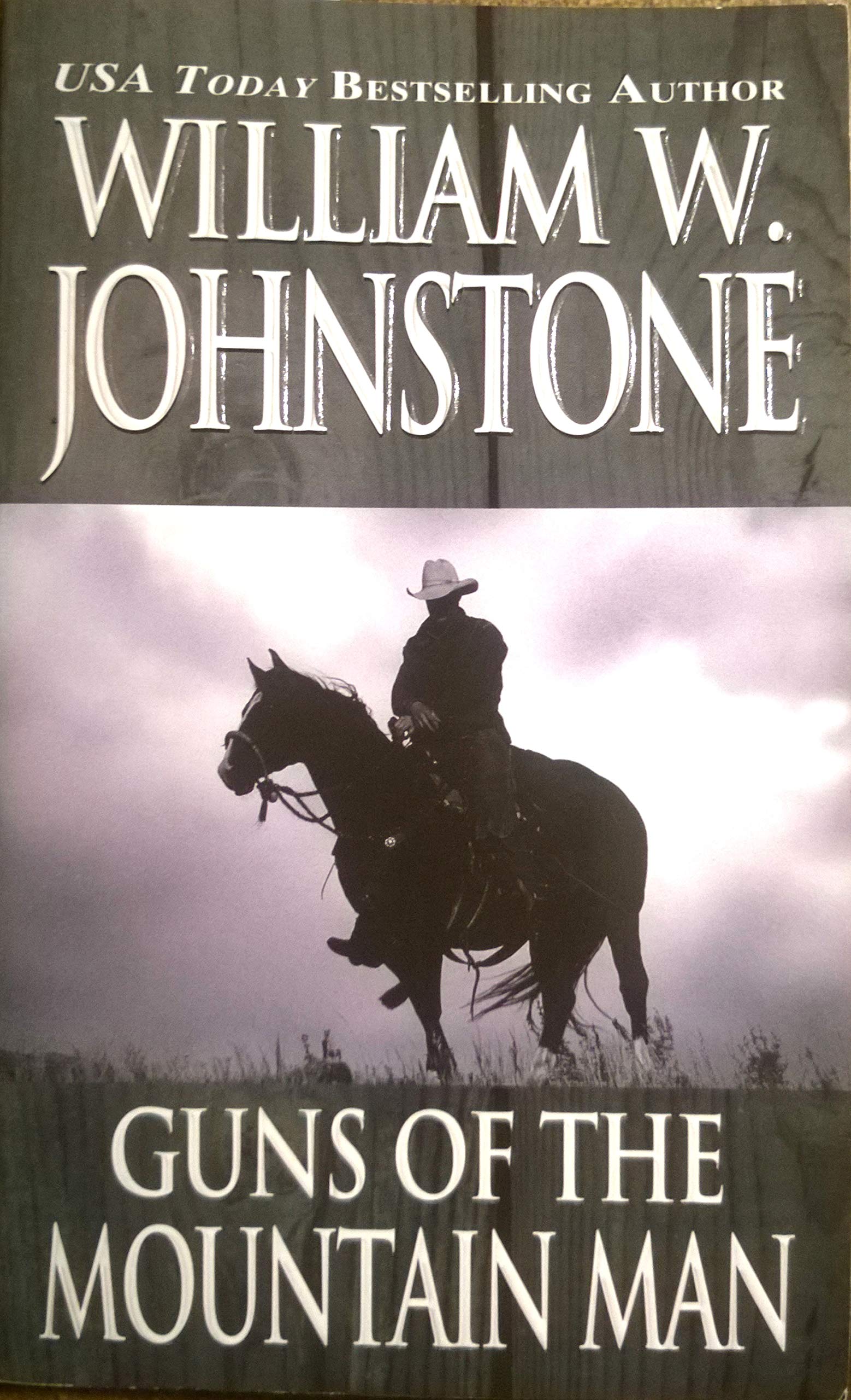 Guns of the Mountain Man (The Last Mountain Man, Band 24) Action & Adventure