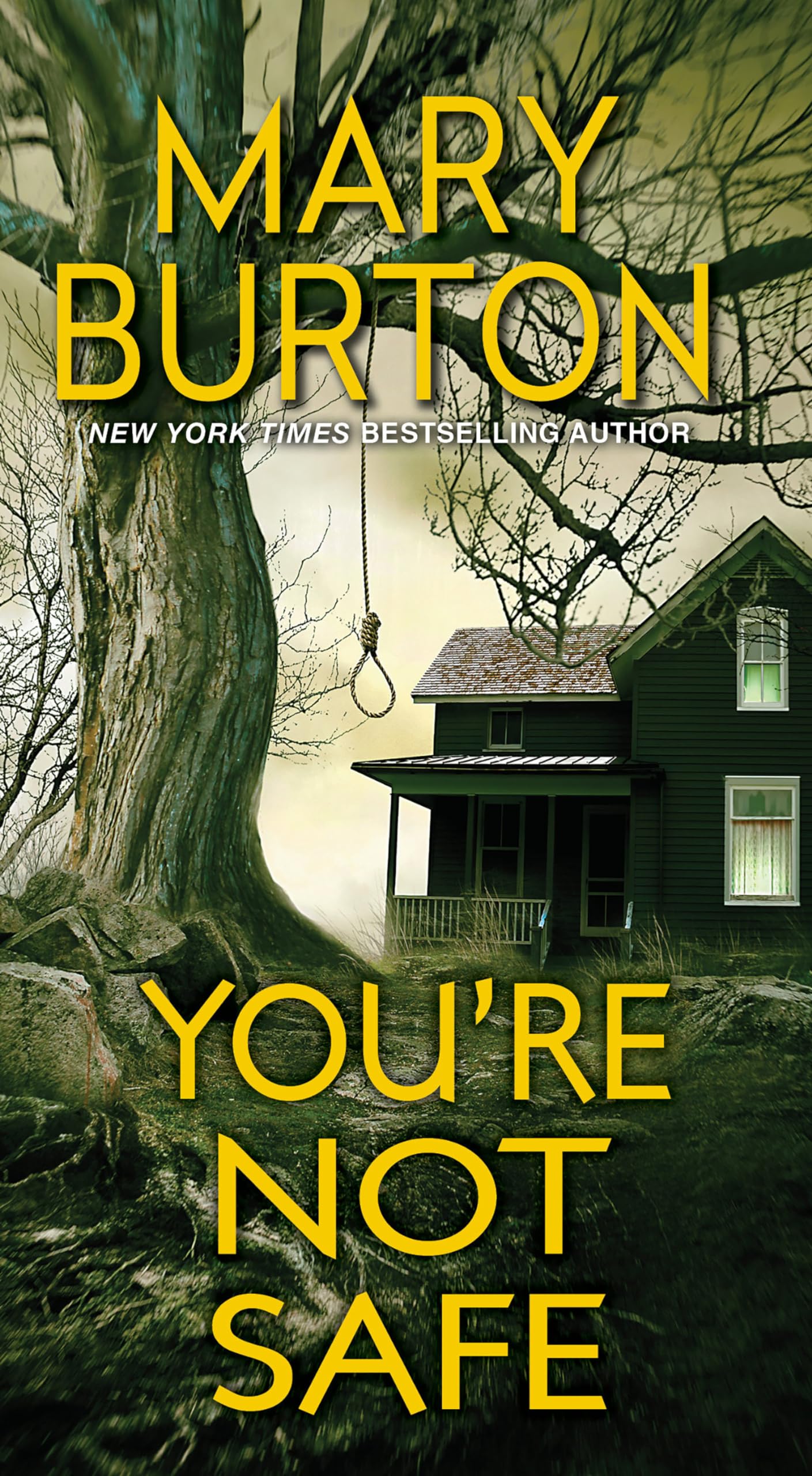 You're Not Safe (Texas Rangers, Band 3) Contemporary literature