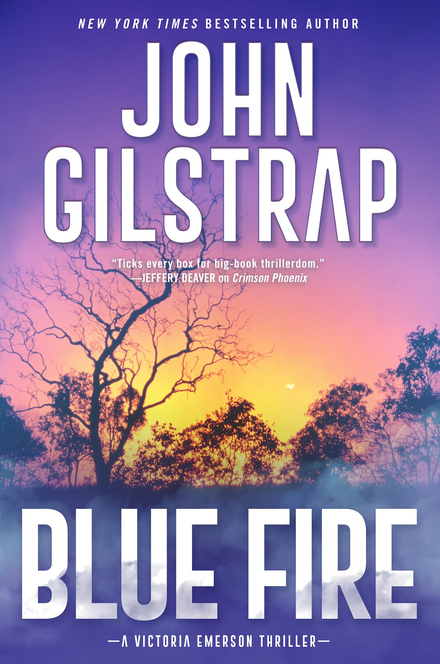 Blue Fire: A Riveting New Thriller (A Victoria Emerson Thriller, Band 2) Contemporary literature