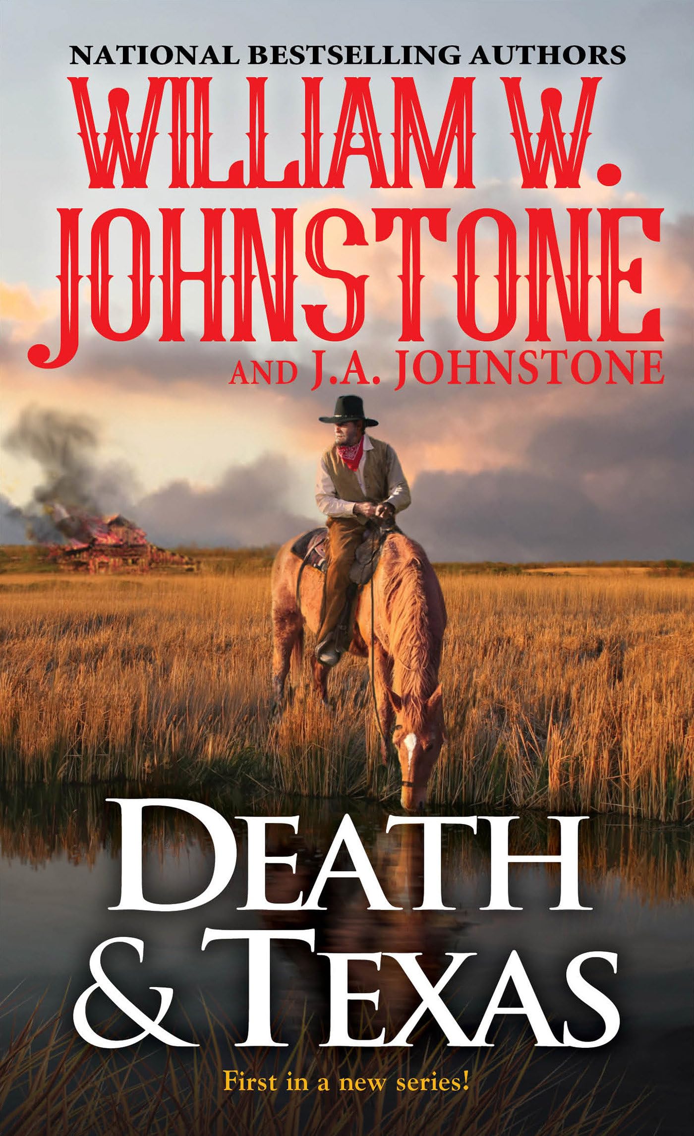 Death & Texas (A Death & Texas Western, Band 1) Contemporary literature