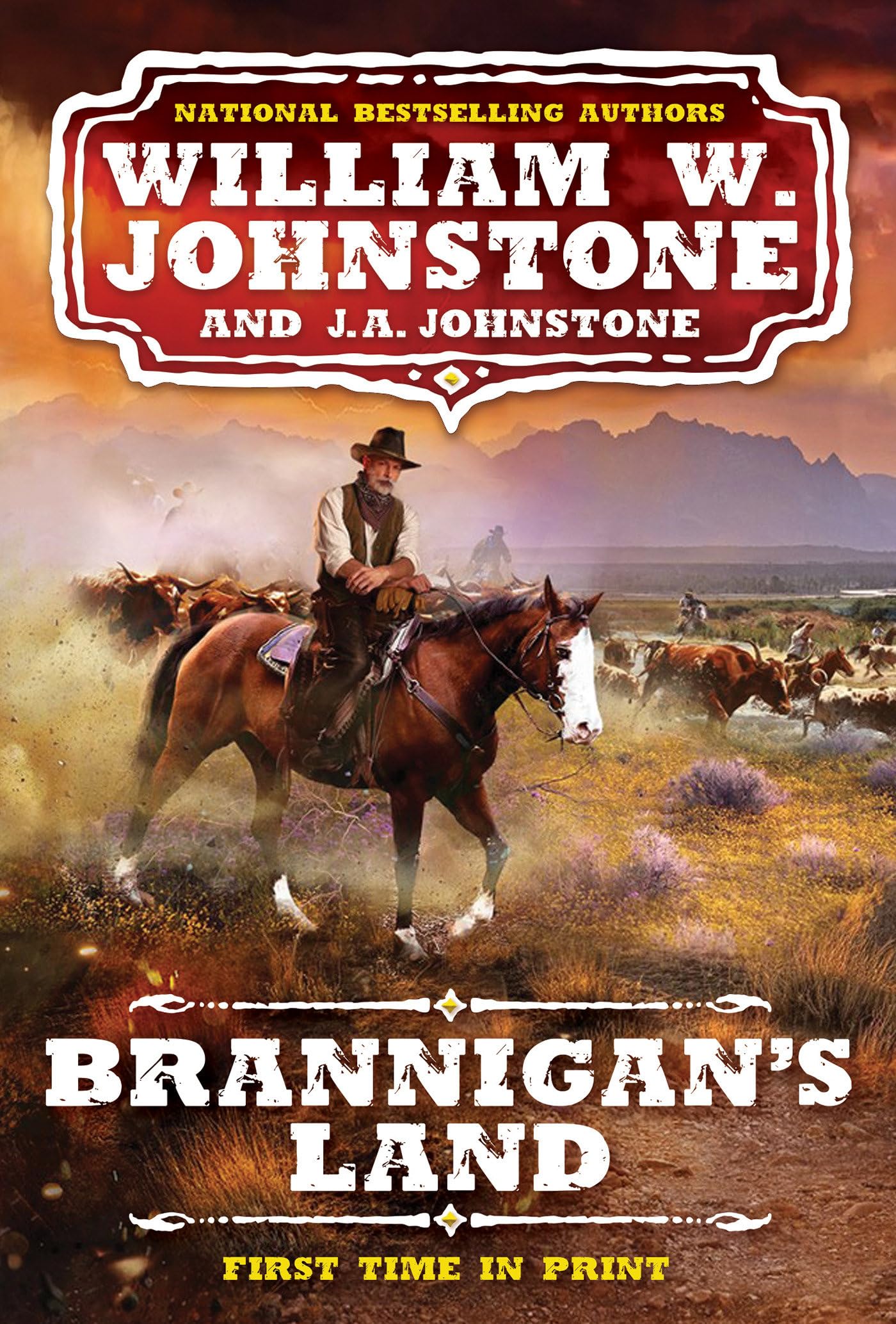 Brannigan's Land (A Brannigan's Land Western, Band 1) Contemporary literature