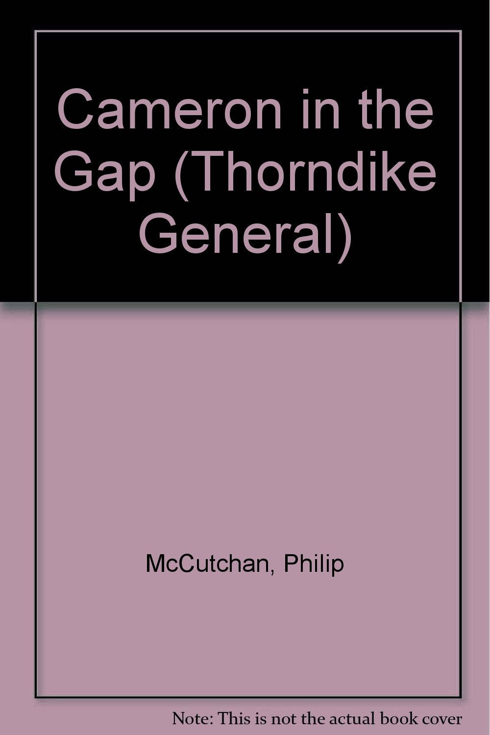 Cameron in the Gap (Thorndike Large Print General Series) Contemporary literature