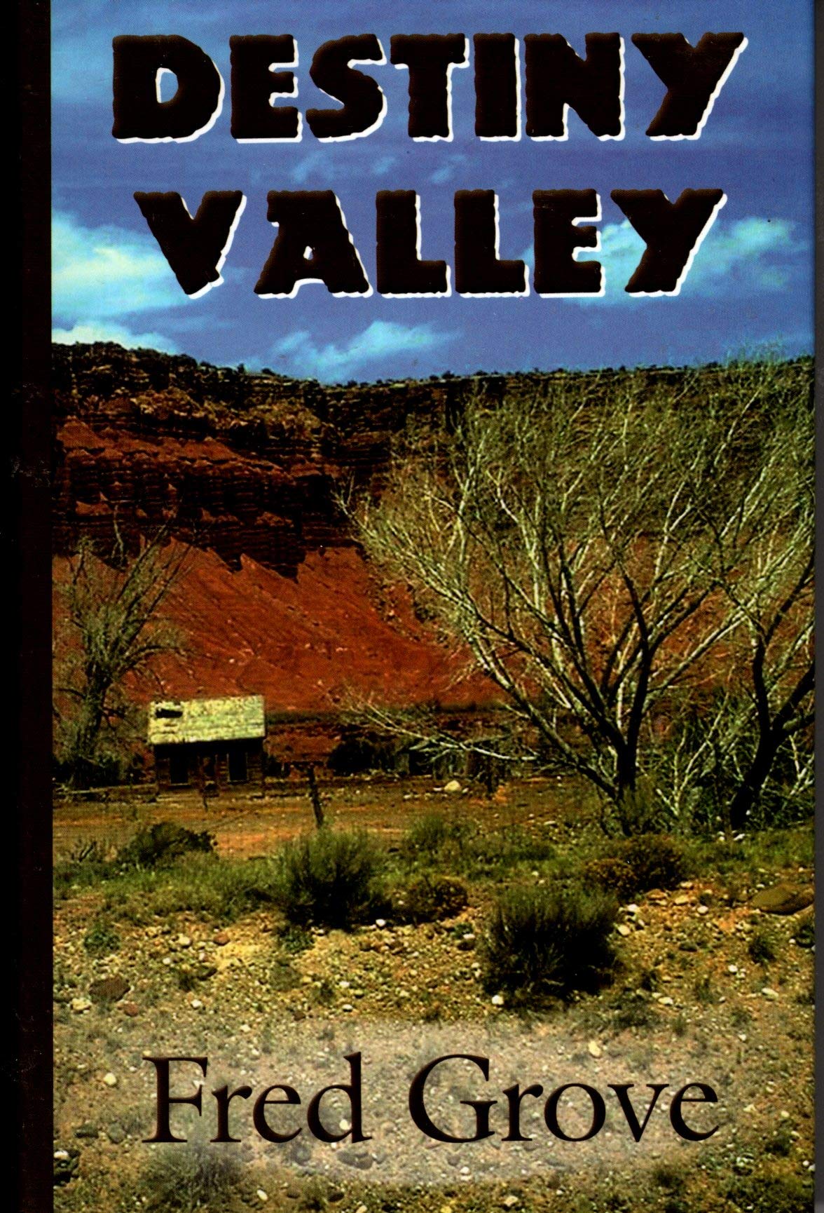 Destiny Valley: A Western Story (Five Star First Edition Western Series) Action & Adventure