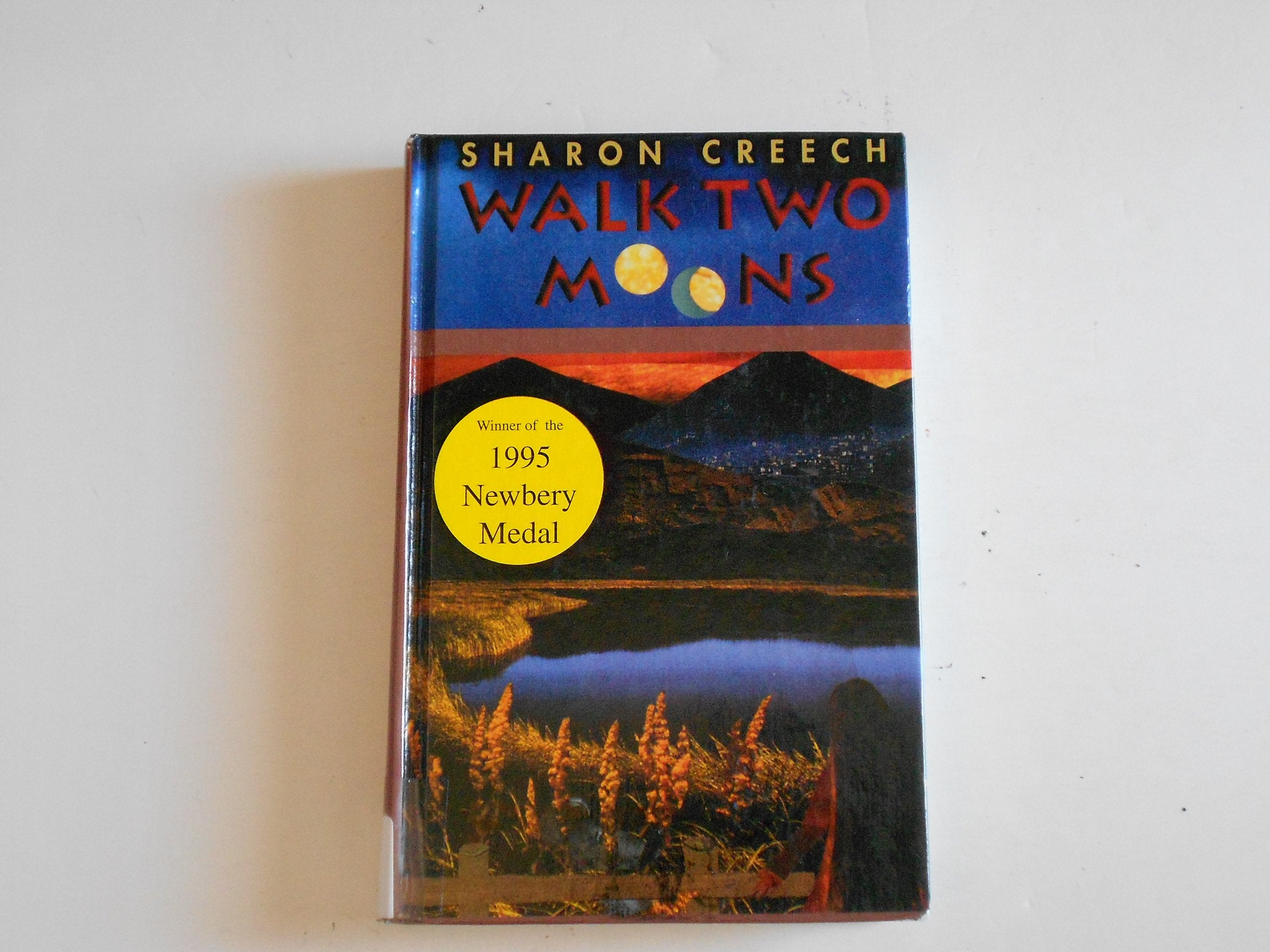 Walk Two Moons (Thorndike Large Print Literacy Bridge Series) Fiction