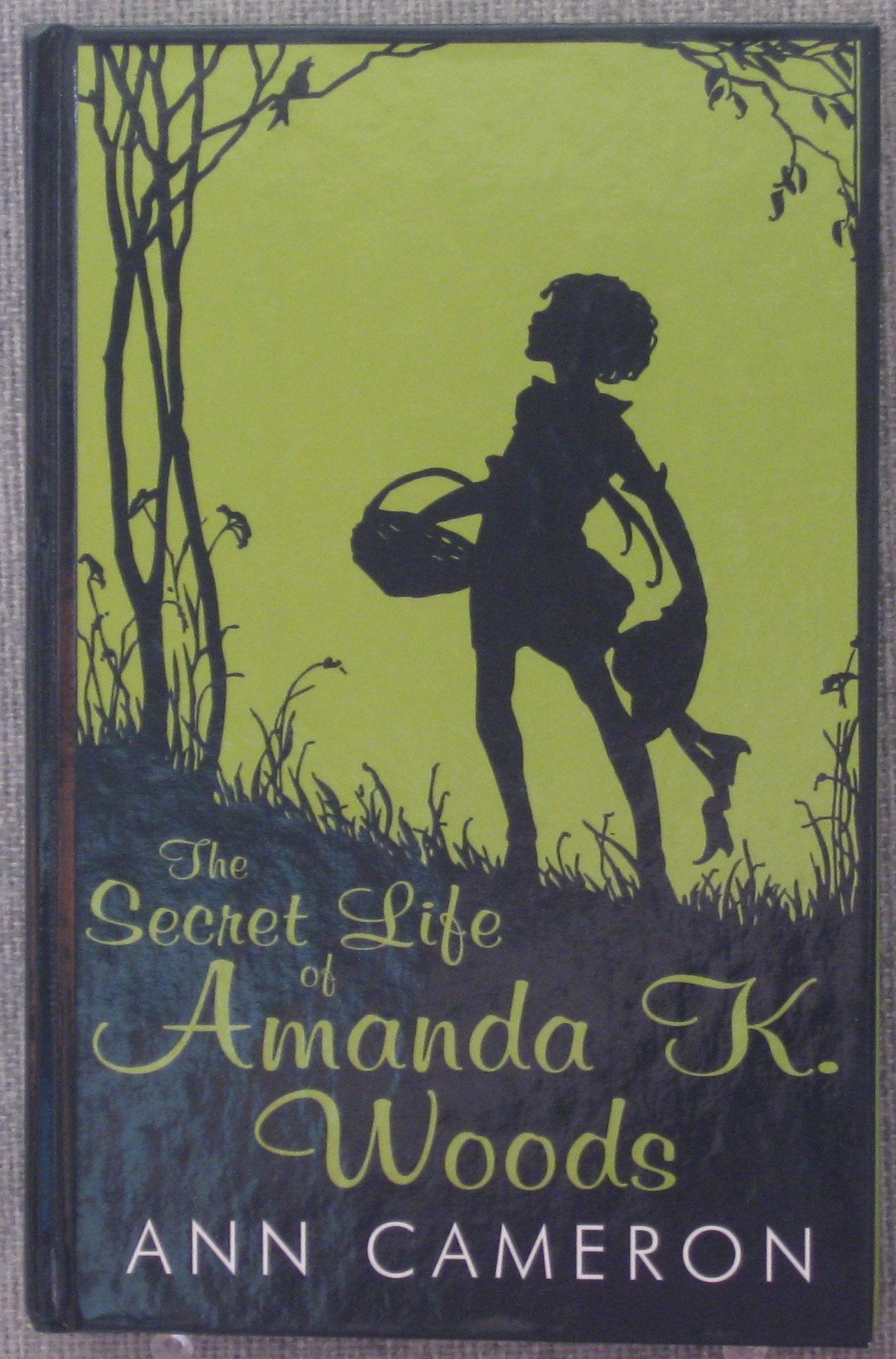The Secret Life of Amanda K. Woods (Thorndike Large Print Literacy Bridge Series) Non-fiction