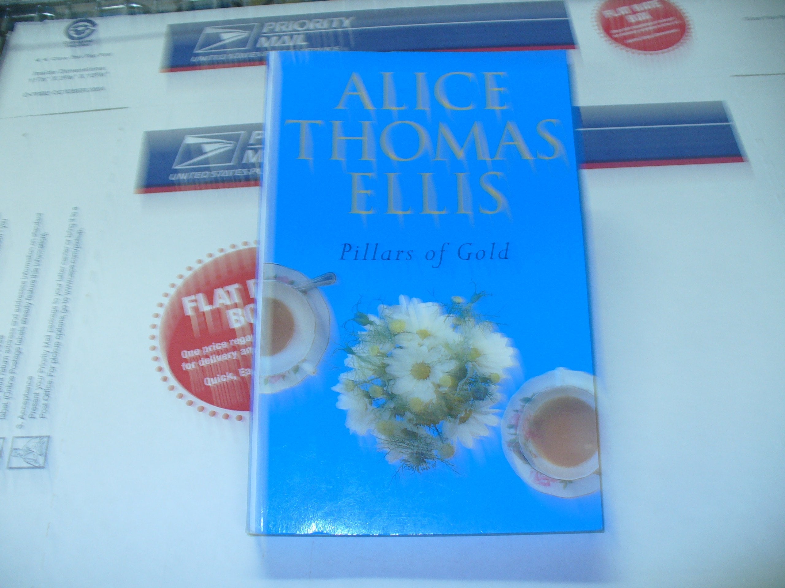 Pillars of Gold (Thorndike Large Print General Series) Contemporary literature